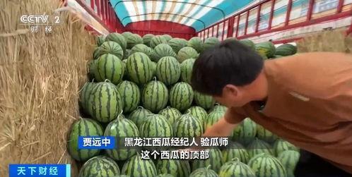 已关注吃瓜,娱乐圈最新瓜料大揭秘