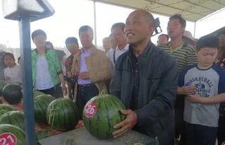 吃瓜群众长泰区,吃瓜群众眼中的魅力之城