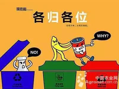 吃瓜垃圾分类,绿色生活新风尚