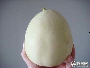 小孩吃白兰瓜好吗,儿童食用白兰瓜的益处与注意事项