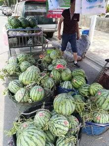 固始最近的吃瓜事件,真相竟如此反转！